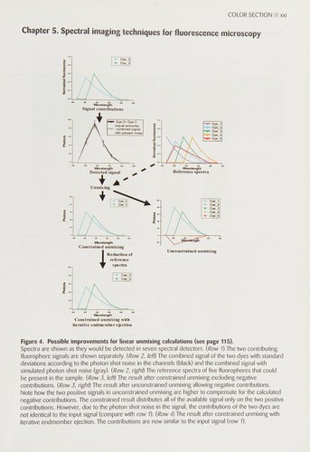 Cell imaging