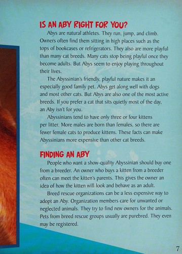 Abyssinian Cats