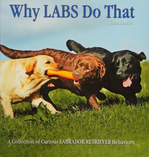 Why Labs Do That