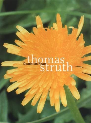 Thomas Struth: The Dandelion Room