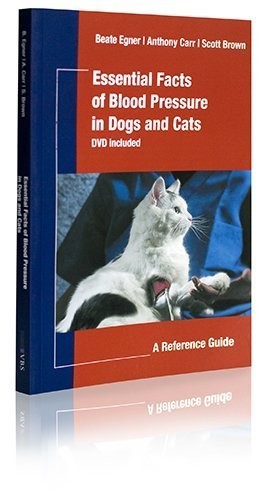 Essential Facts of Blood Pressure in Dogs and Cats