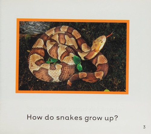 A Snake Grows Up