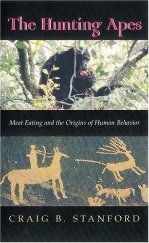 The Hunting Apes