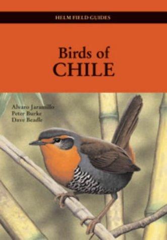Field Guide to the Birds of Chile