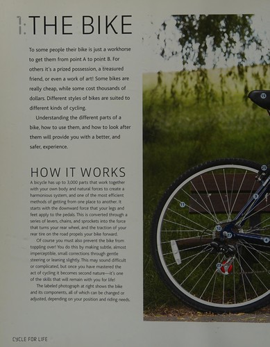 Cycle for Life
