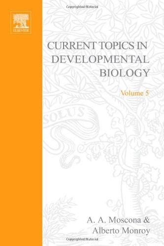 Emergence of specificity in neural histogenesis