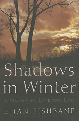Shadows in winter