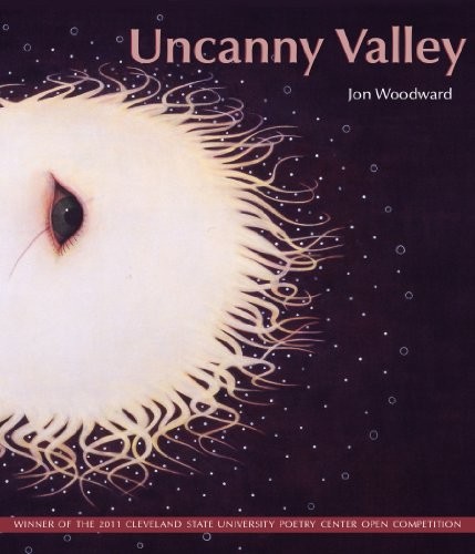 Uncanny valley