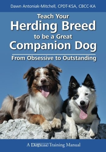 Teach Your Herding Breed to Be a Great Companion Dog