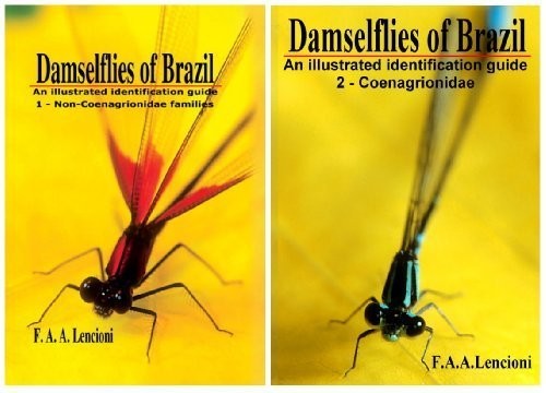 Damselflies of Brazil