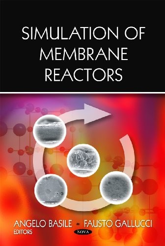 Simulation of Membrane Reactors