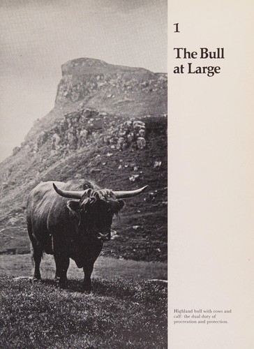 The Bull