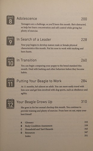 Your Beagle Puppy Month by Month