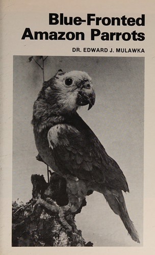 Blue-fronted Amazon parrots