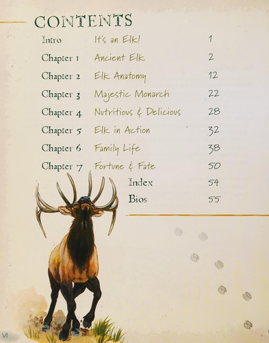 The Wild Life of Elk
