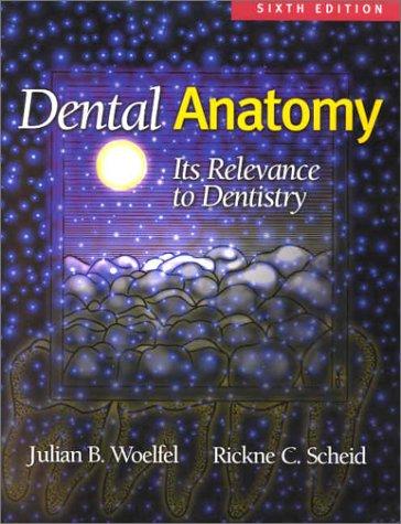 Dental Anatomy