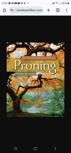 An illustrated guide to pruning