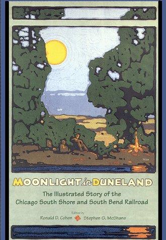 Moonlight in Duneland