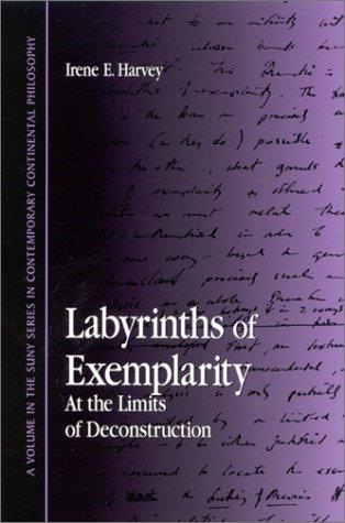 Labyrinths of Exemplarity