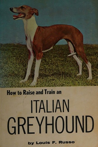 How to Raise and Train an Italian Greyhound