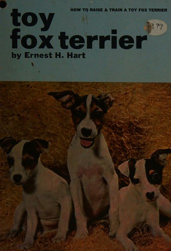 How to Raise and Train a Toy Fox Terrier