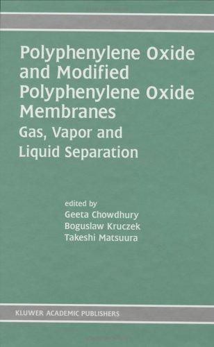 Polyphenylene Oxide and Modified Polyphenylene Oxide Membranes
