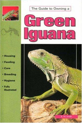 Caring For Green Iguanas