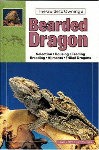 Bearded & Frilled Dragons