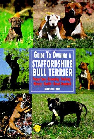 Guide to Owning a Staffordshire Bull Terrier