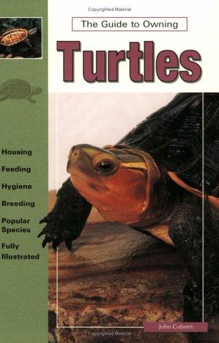 Guide to Owning Turtles