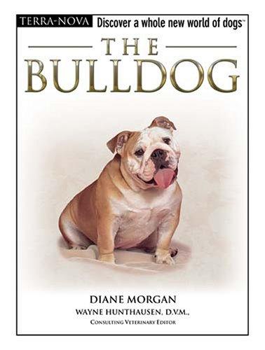 The bulldog