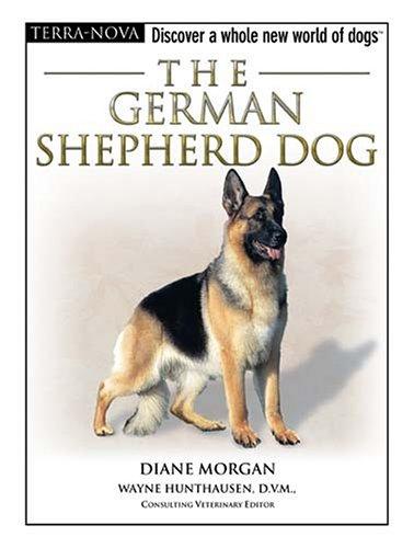 The German shepherd dog
