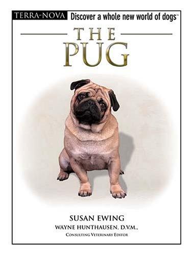 The pug
