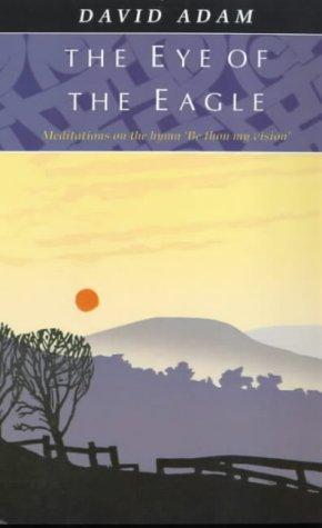 The eye of the eagle