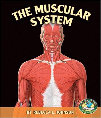 The Muscular System