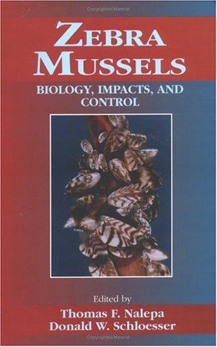 Zebra mussels