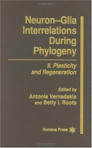 Neuron-glia Interrelations During Phylogeny