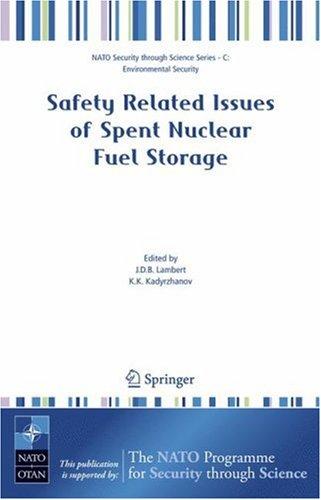 Safety Related Issues of Spent Nuclear Fuel Storage