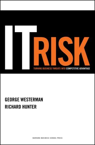 IT Risk
