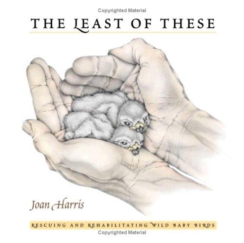 The Least of These