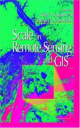 Scale in remote sensing and GIS