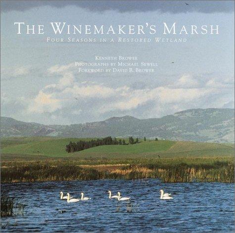 The winemaker's marsh