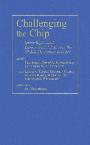 Challenging the Chip