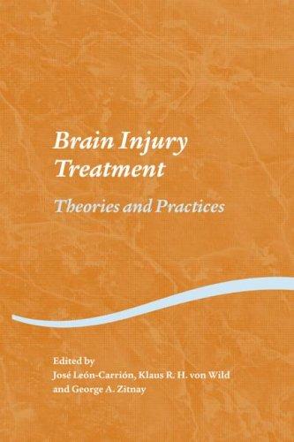 Brain Injury Treatment: Theories and Practices