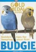 Golden Tips for Keeping Your First Budgie