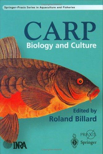 Carp