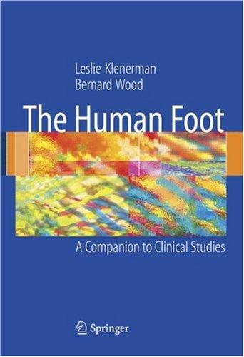 The human foot