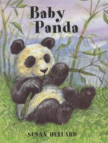 Baby Panda (Baby)