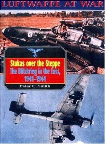 Stukas over the steppe
