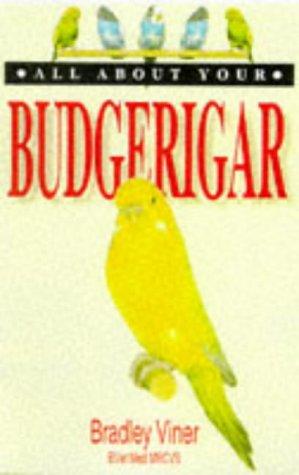 All About Your Budgerigar